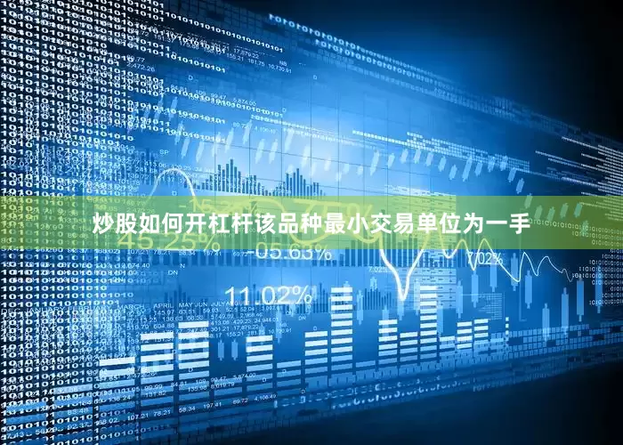 炒股如何开杠杆该品种最小交易单位为一手