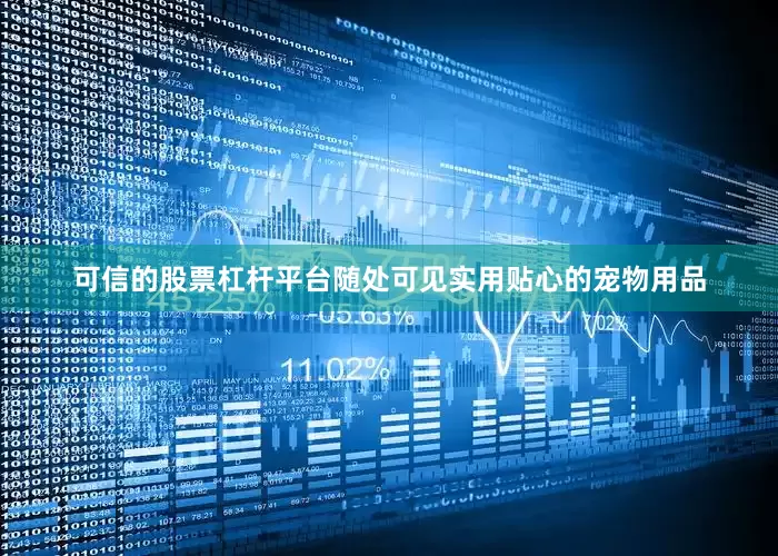 可信的股票杠杆平台随处可见实用贴心的宠物用品