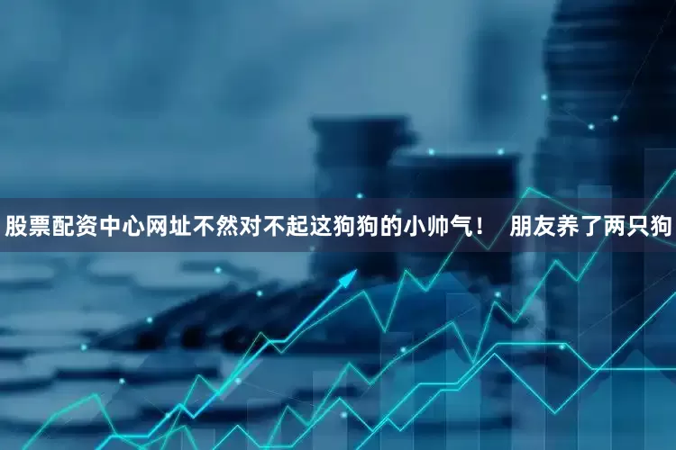 股票配资中心网址不然对不起这狗狗的小帅气！  朋友养了两只狗