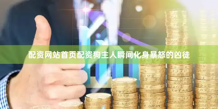 配资网站首页配资狗主人瞬间化身暴怒的凶徒