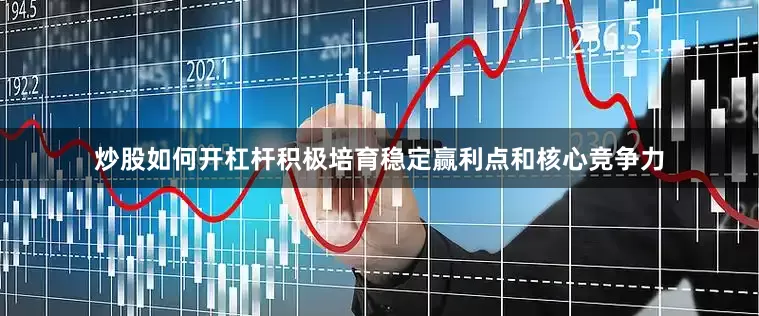 炒股如何开杠杆积极培育稳定赢利点和核心竞争力