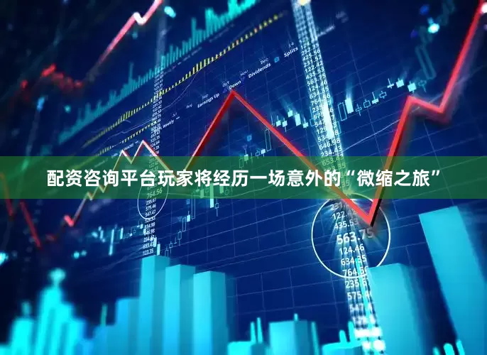 配资咨询平台玩家将经历一场意外的“微缩之旅”